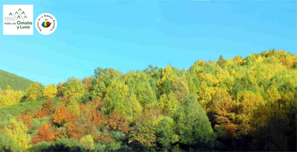 Paisajes de Omaña, Reserva de la Biosfera