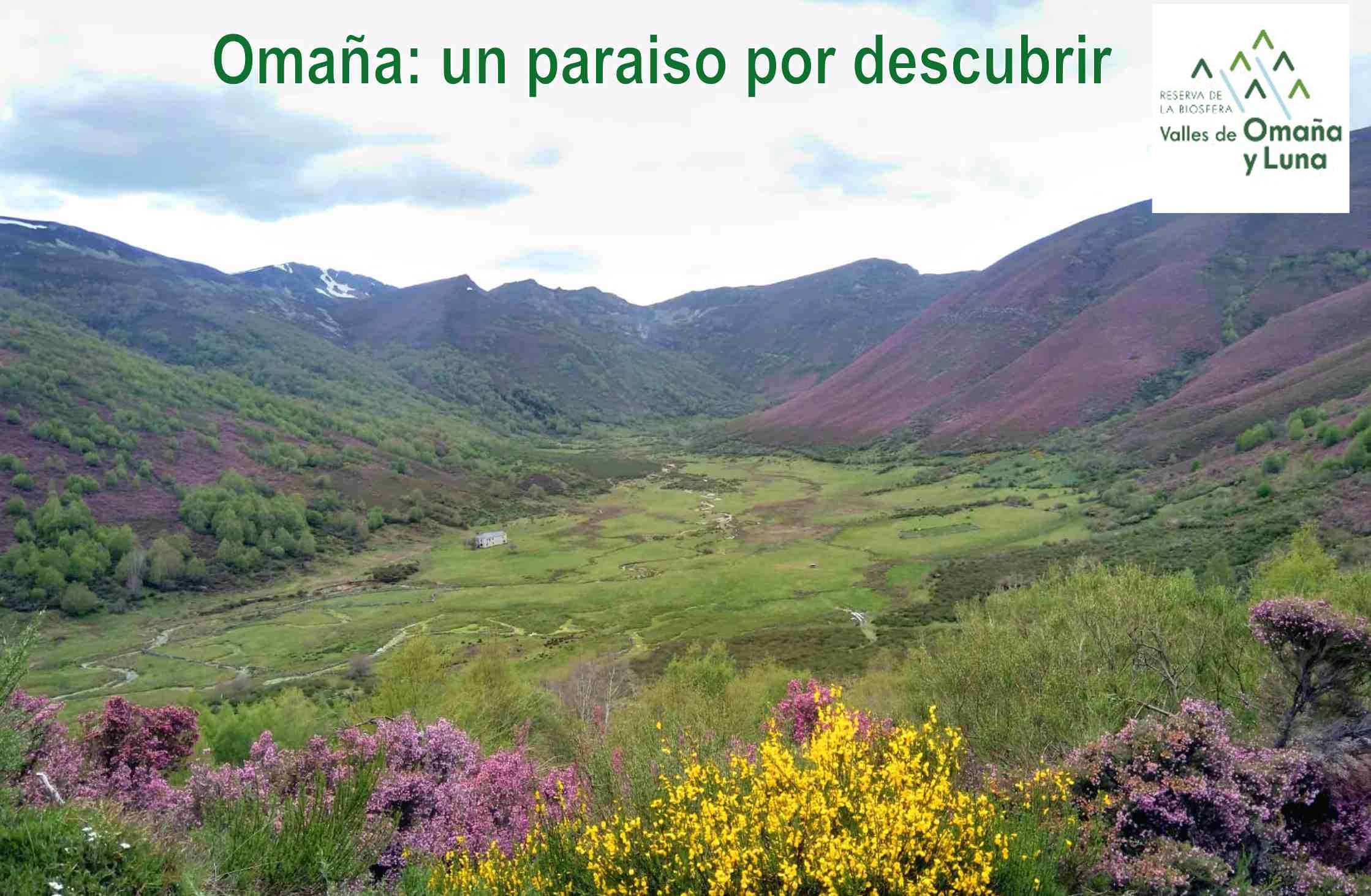 Paisajes de Omaña, Reserva de la Biosfera