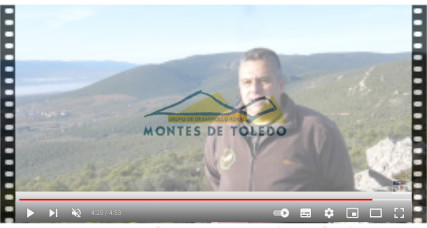 Video: Recorrido por los Montes de Toledo
